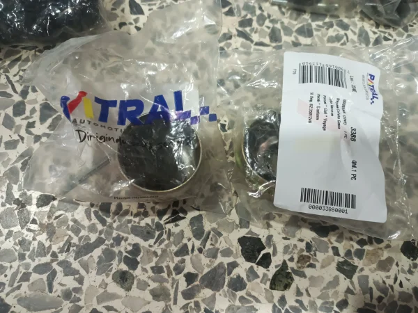KIT TAPA GRASA RUEDA TRASERA - Repuesto  en Puerto Ordaz
